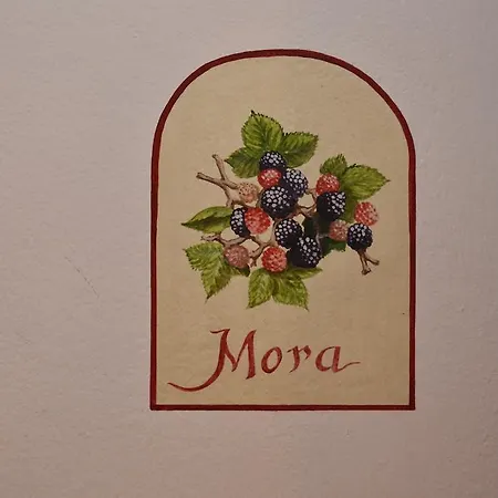 Maria * Канацеи