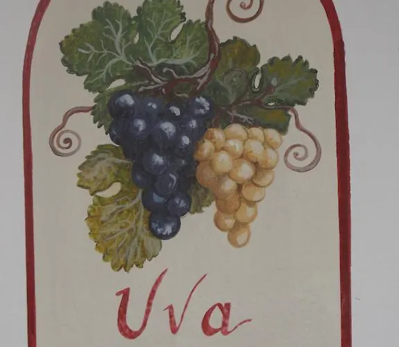 Maria * 까나제이